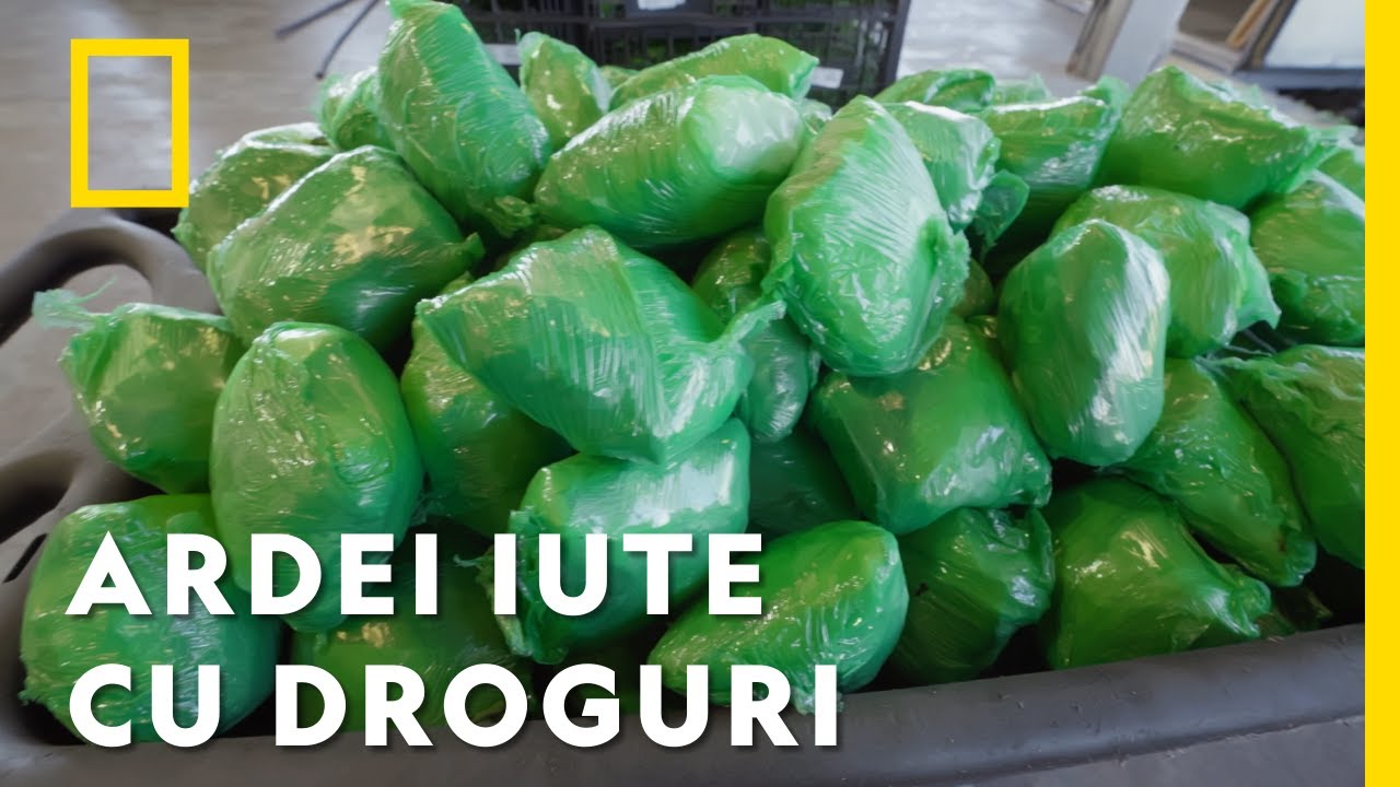 &Icirc;ntr-un transport de ardei iuți, s-au găsit droguri de 31 mil. $! | Traficanți