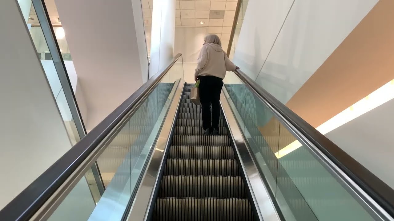 Two Brands Medium-File Escalators at Neiman Marcus, Tysons Galleria, VA