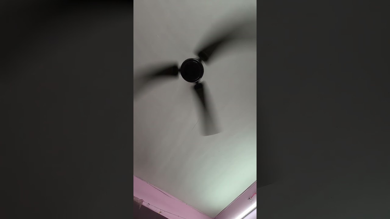 #fanvidveed #trending 🤣🤣 (KAZI ISMAIL)