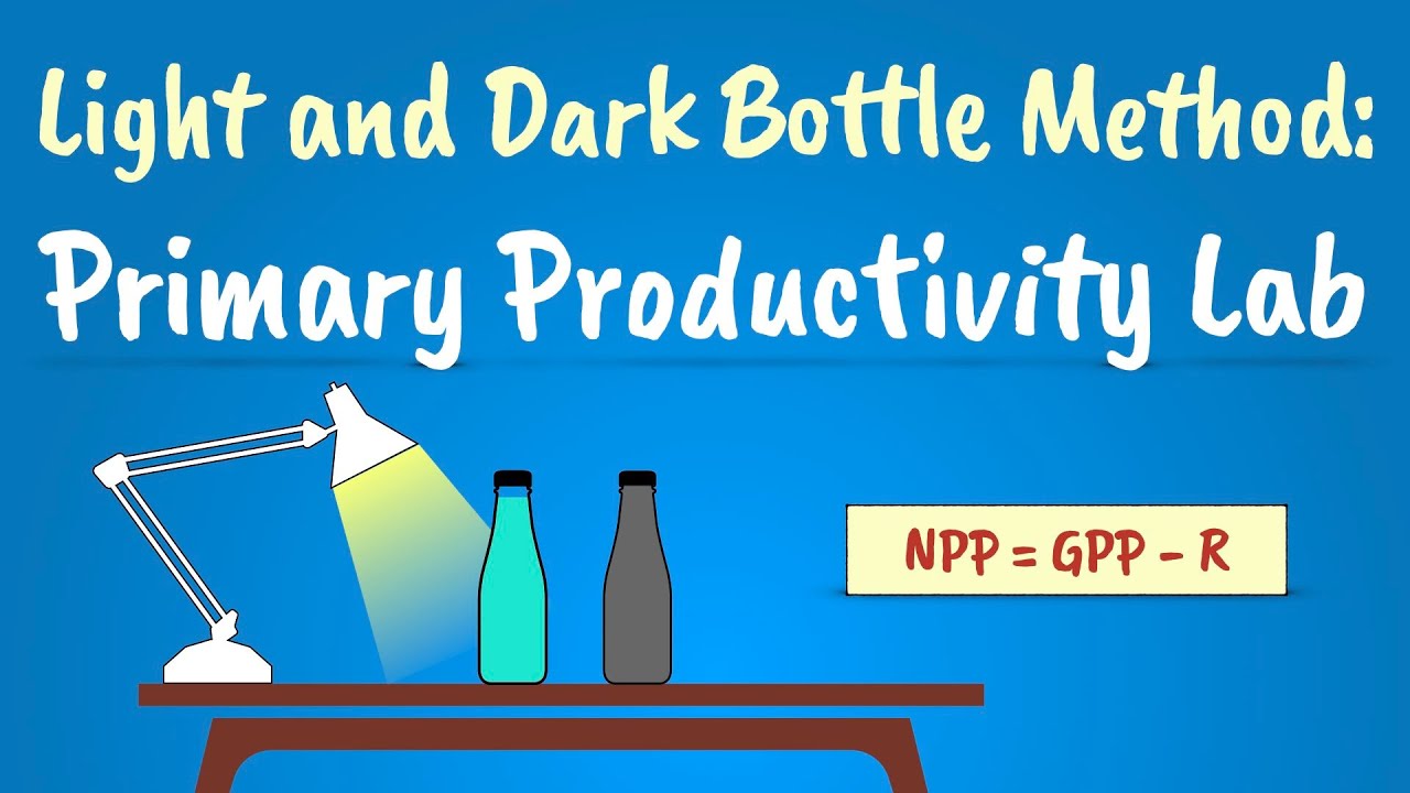 The Light and Dark Bottle Method | Primary Productivity