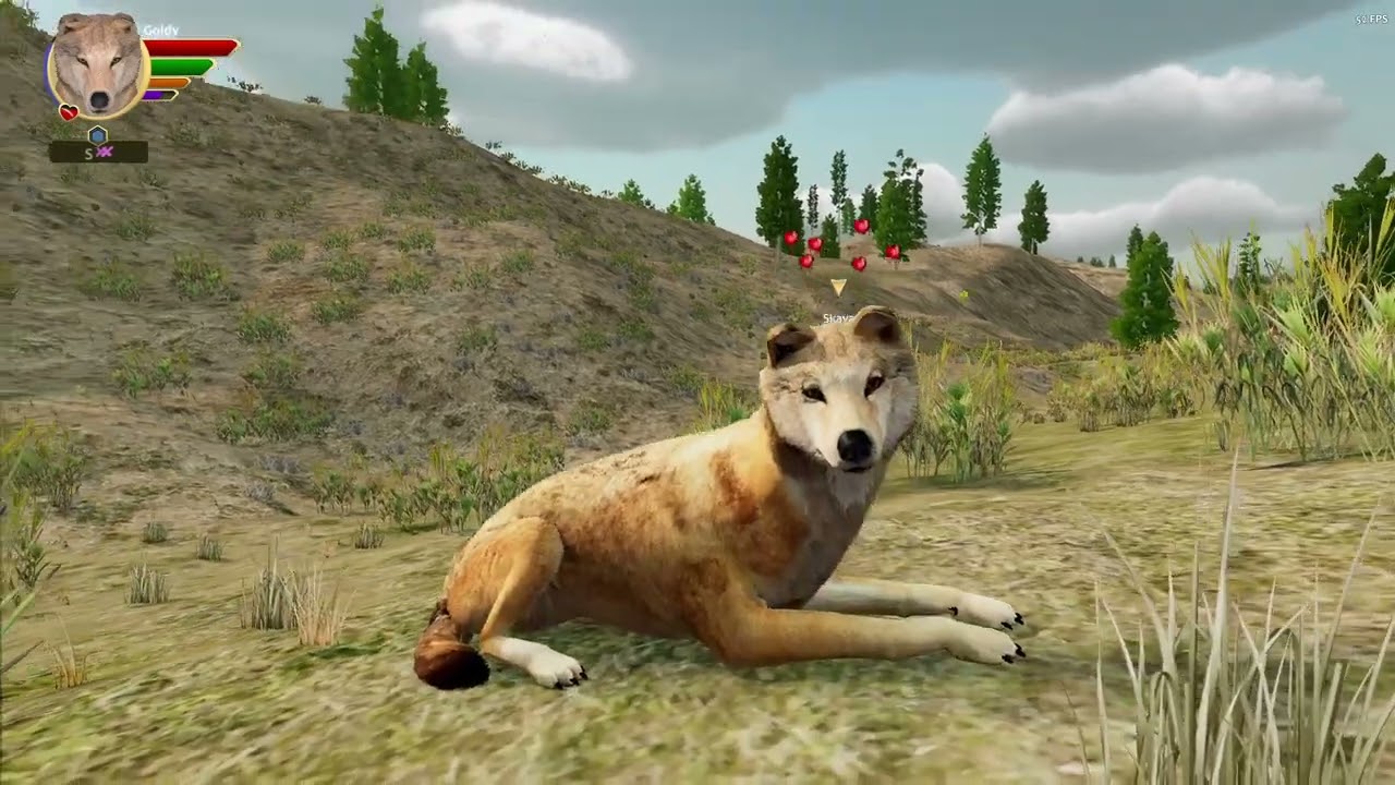 Goldy's Shenanigans Ep 2 - Partners In Crime (WolfQuest: Anniversary Edition)
