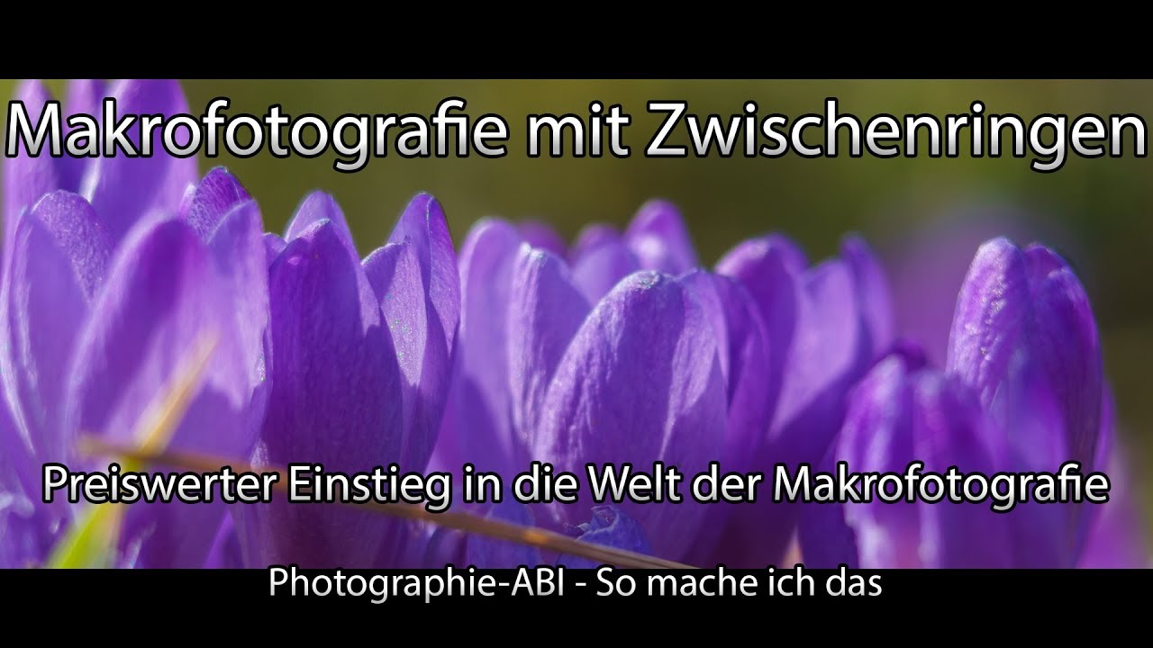 Makrofotografie mit Zwischenringen? Einstieg in die Makrofotografie - Sony Alpha 6000/6300/6500