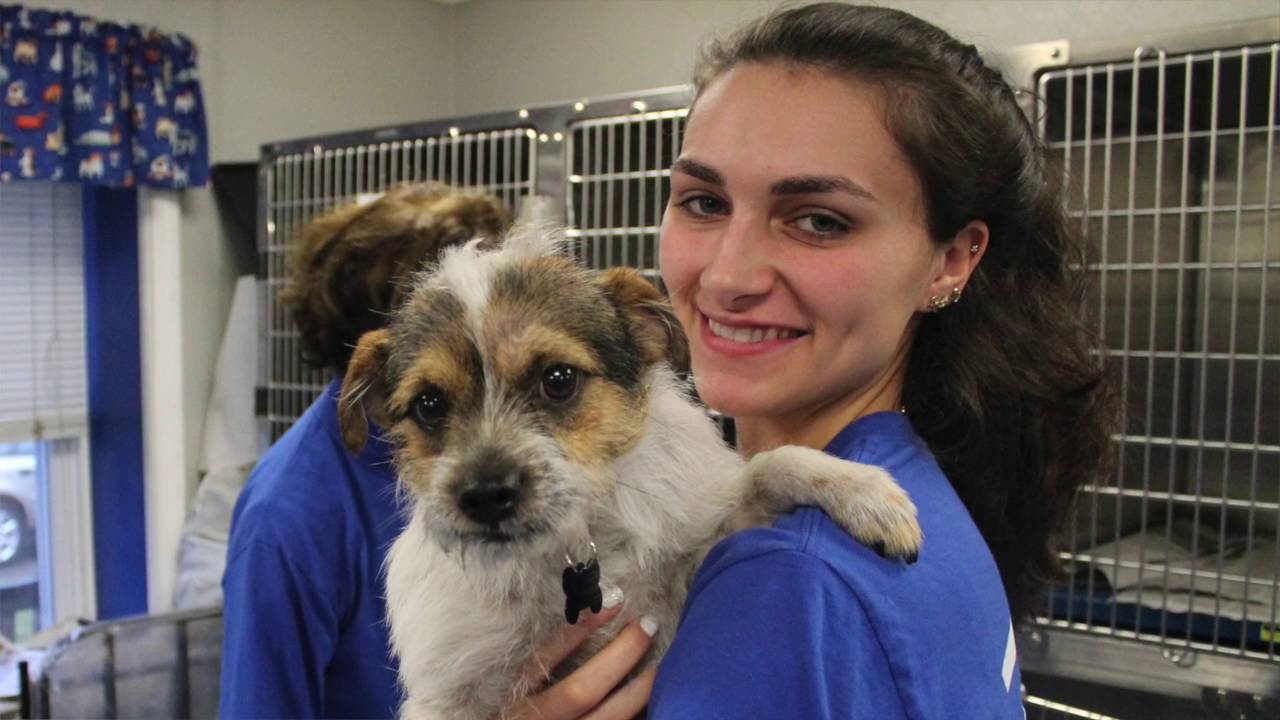 Why Should You Foster?