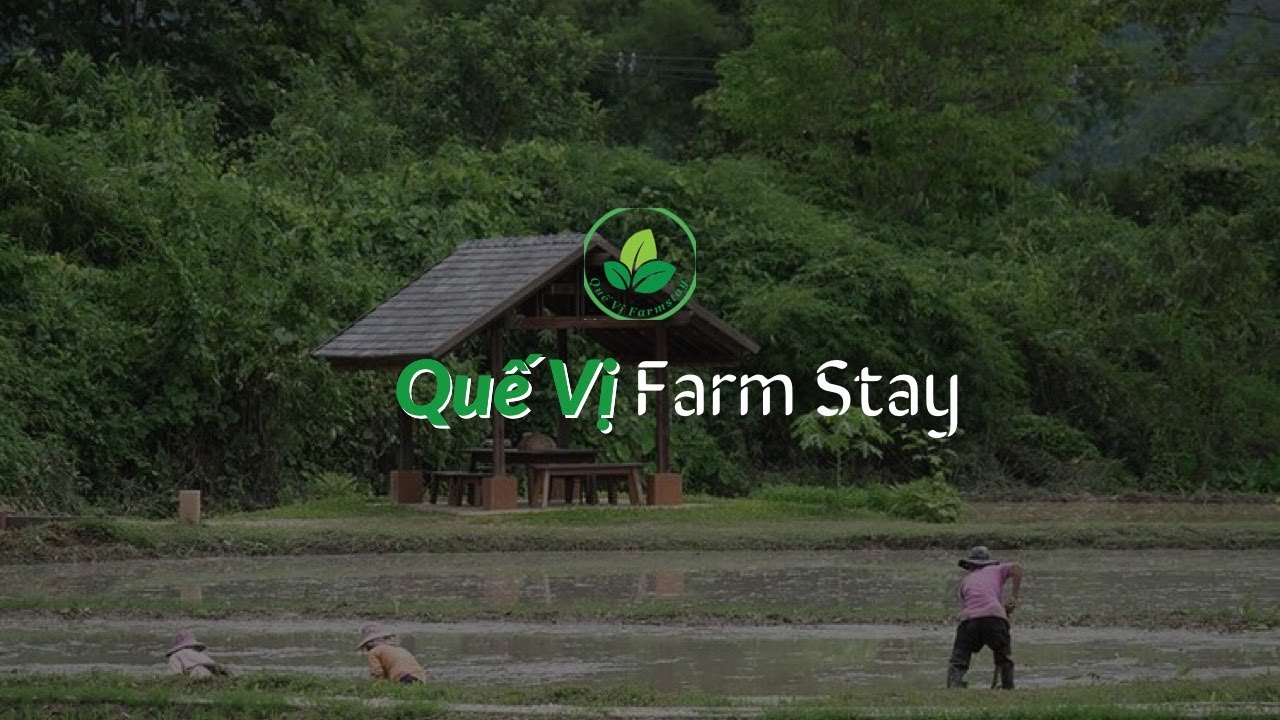 Giới thiệu vườn rau rừng tự nhiên độc đáo tại Quế Vị Farm Stay | Trảng Bàng Tây Ninh