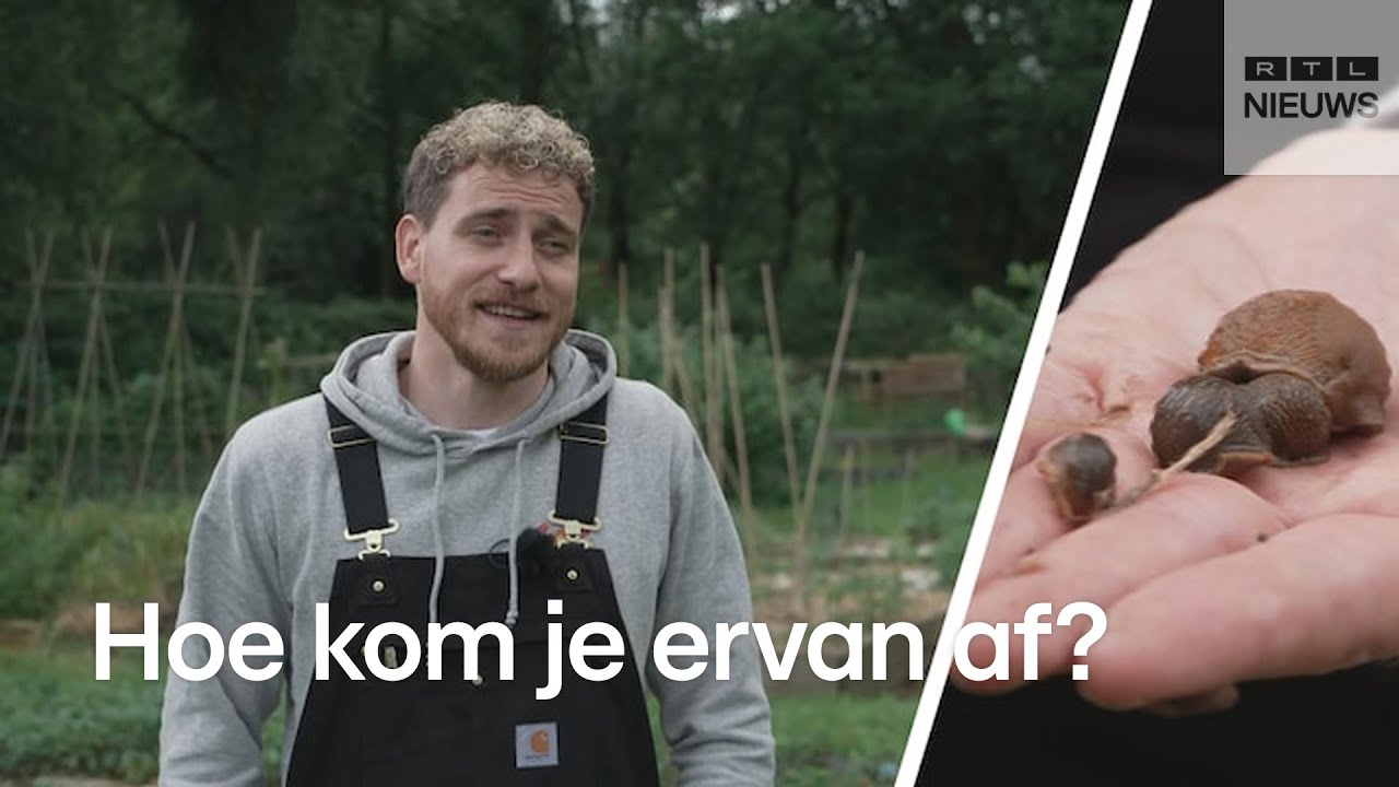Slakken vreten alles op
