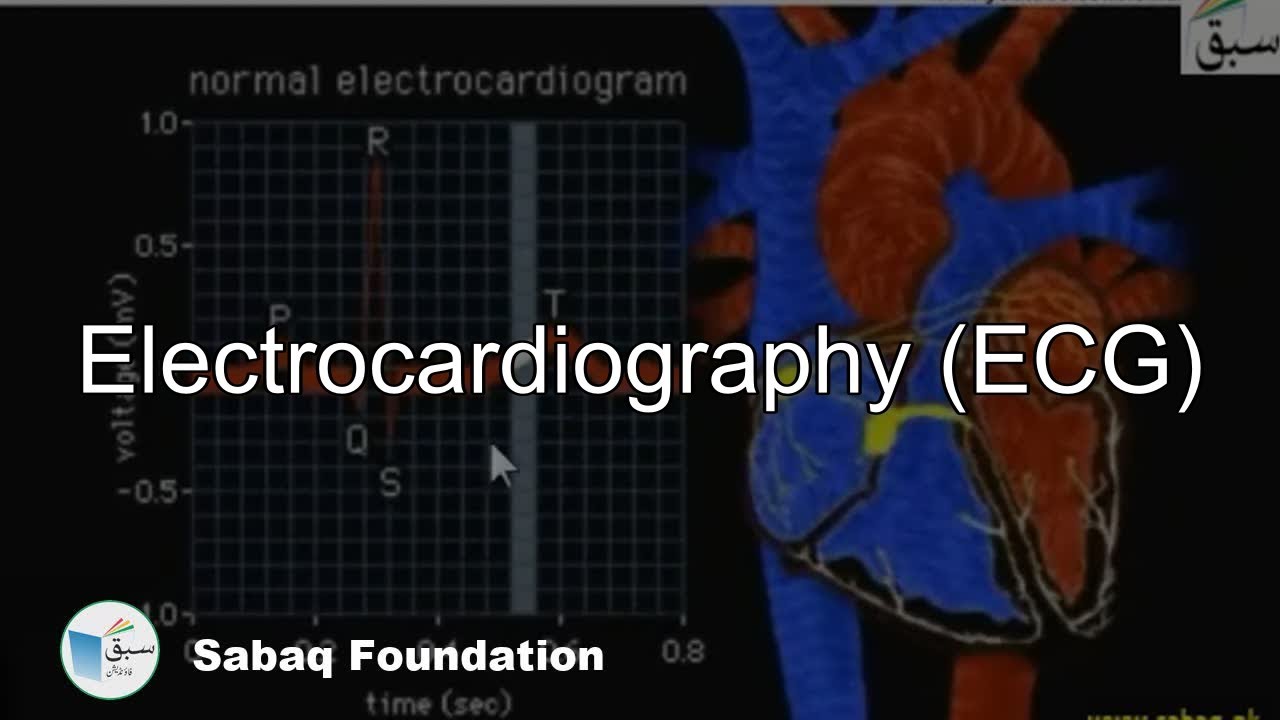 Electroencephalography (EEG), General Science Lecture | Sabaq.pk