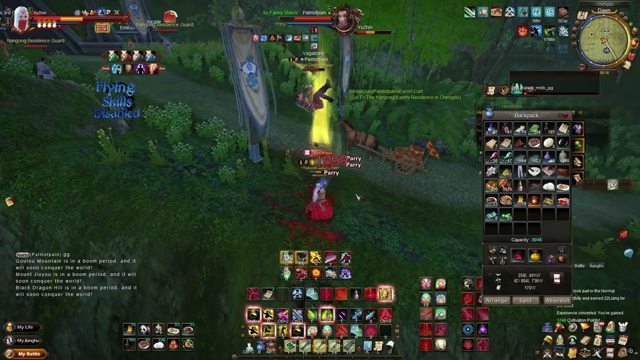 Encountering Palmofpain (Age of Wushu) 九阴真经