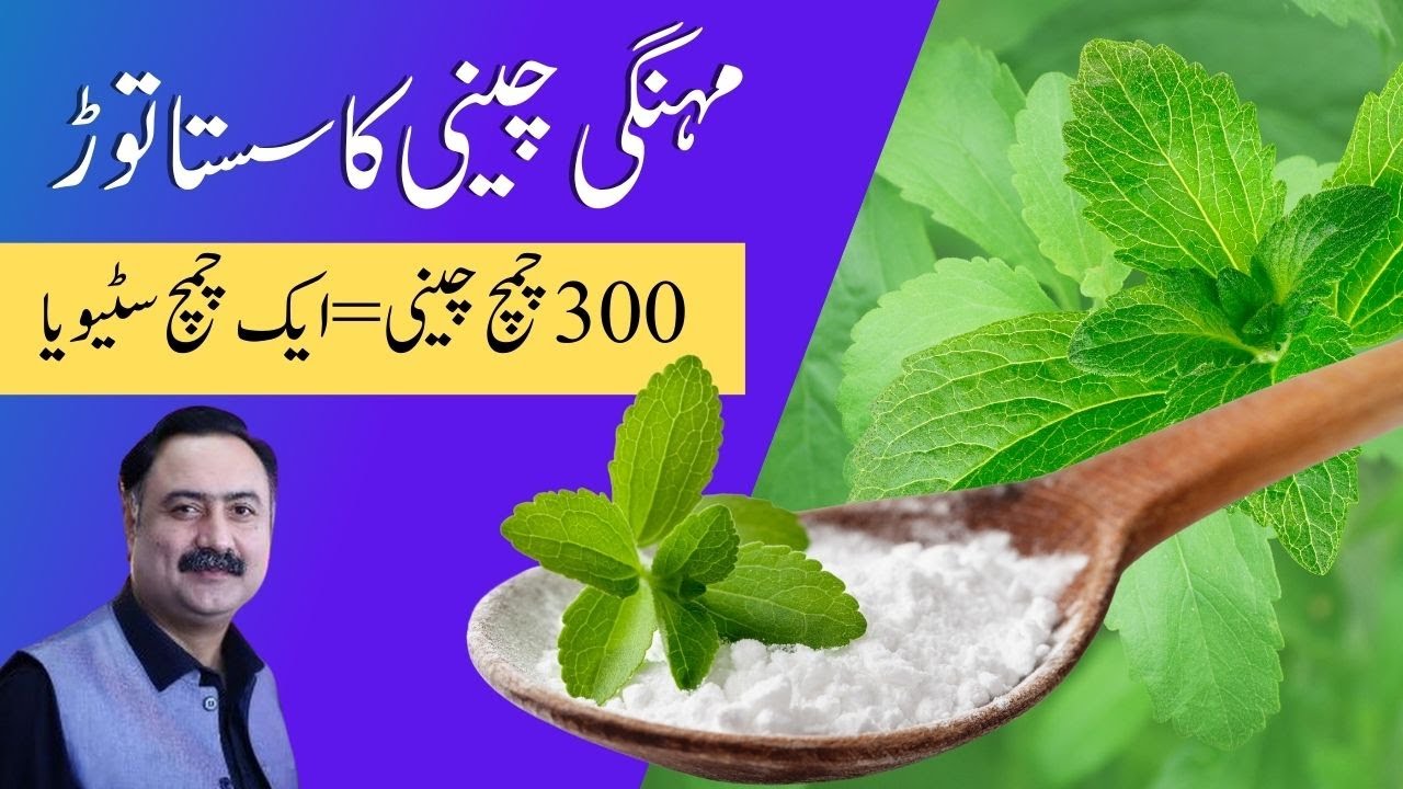 1 Spoon Stevia = 300 Spoons of Sugar | Stevia Powder with 0 Calories