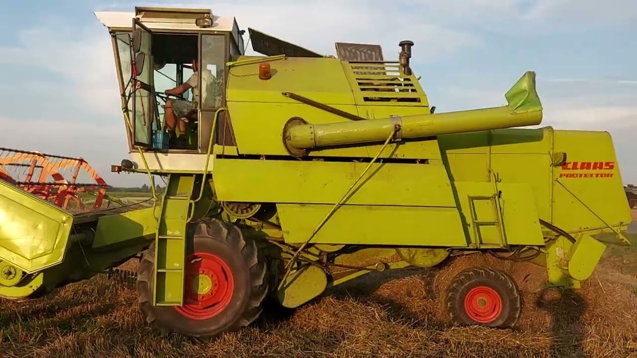 CLAAS PROTECTOR mały pięknie kosi, Żniwa Małopolska 2025