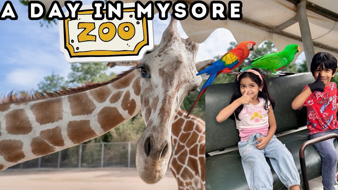 A Day In The Best Zoo In India | MYSORE ZOO
