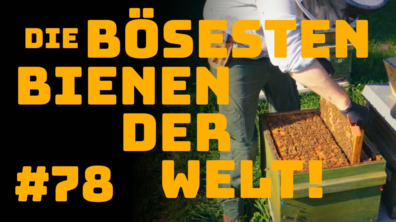 #78 Die bösesten Bienen der Welt!