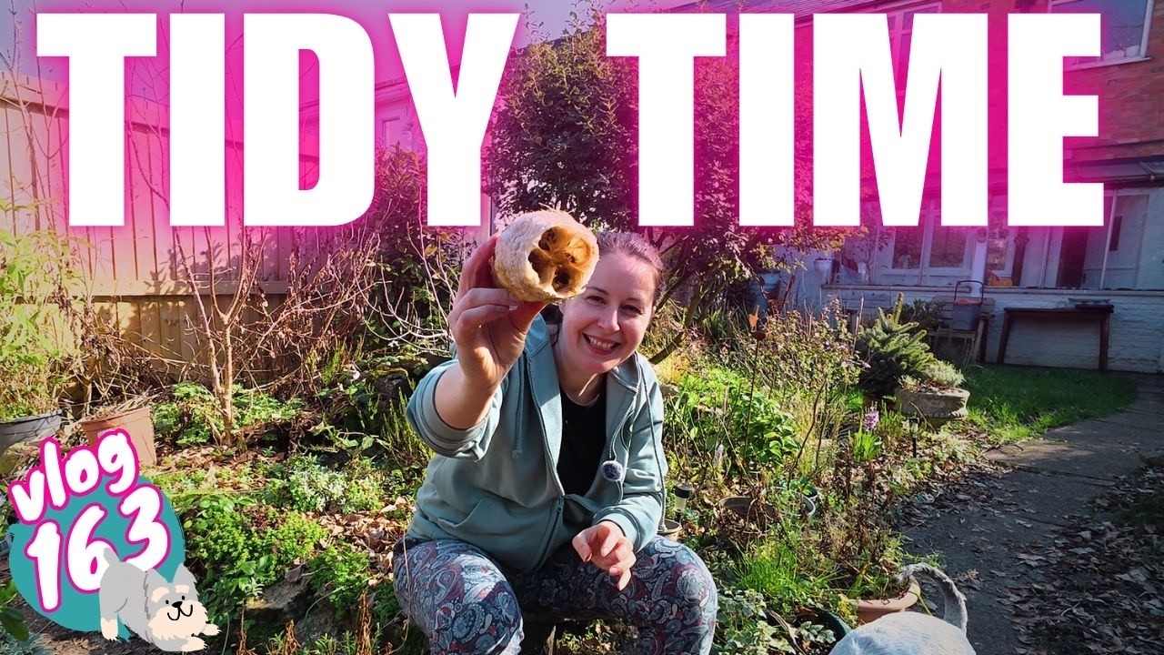 Ep163: Power Hour to TRANSFORMED | UK Allotment & Garden