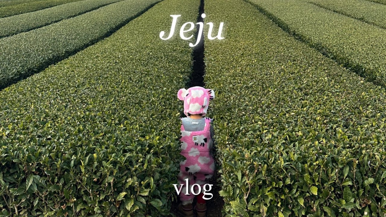 [VLOG] 24개월 아기와 떠난 겨울 제주도 여행🏝️⛄️