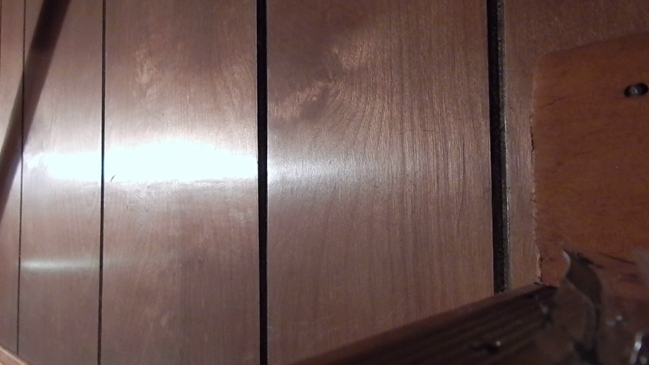 DSCN4541