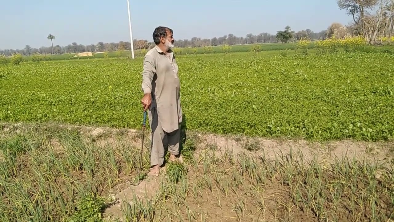 Paa jutt virl you bahawalpur 31bc Dera Bakha pindaly dasi jutt village beauty 1milloin views 