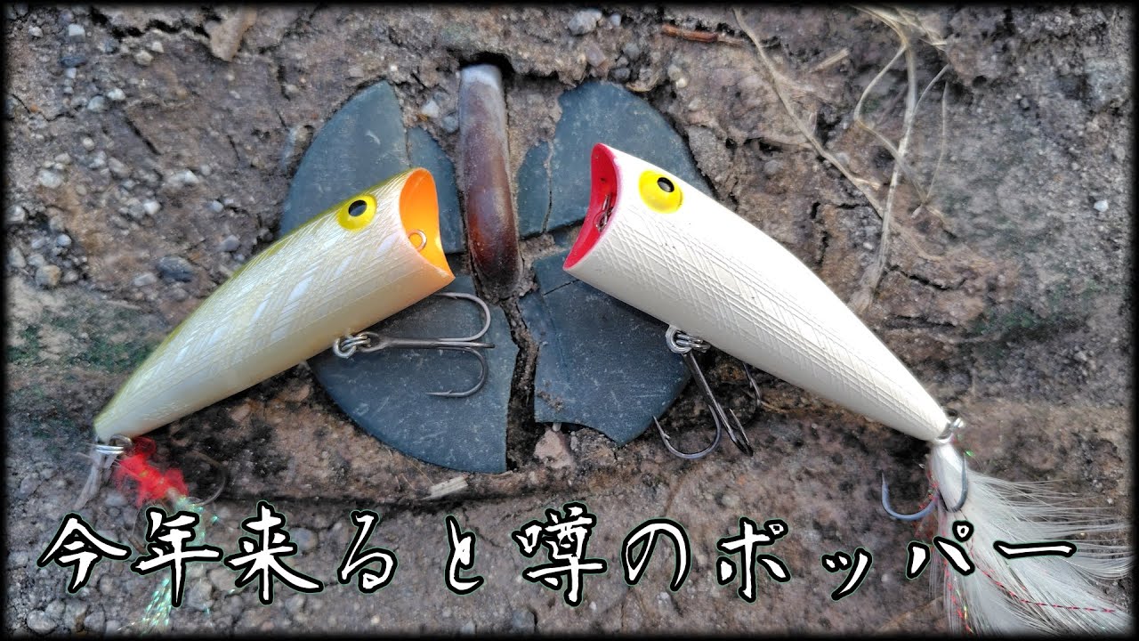 【ポッパー】操作系トップウォーター随一の多彩さとEZさ【ポップR】