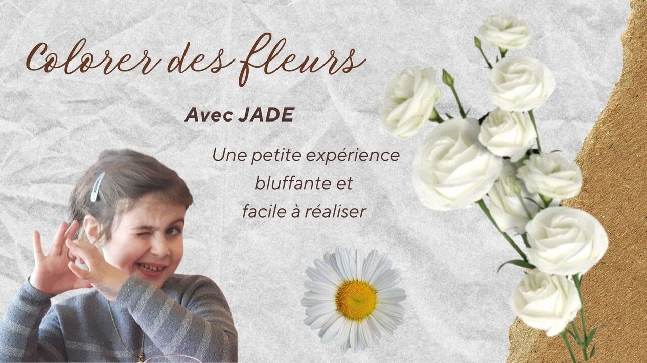 On colore une fleur avec du colorant alimentaire