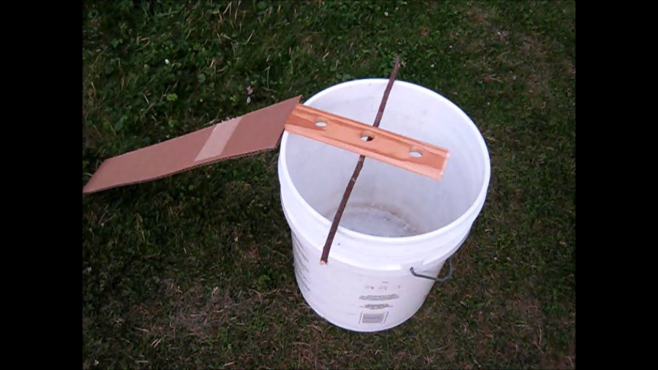 chipmunk / rodent bucket trap