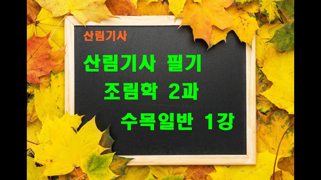 산림(산업)기사 조림학 2과 수목일반 1강
