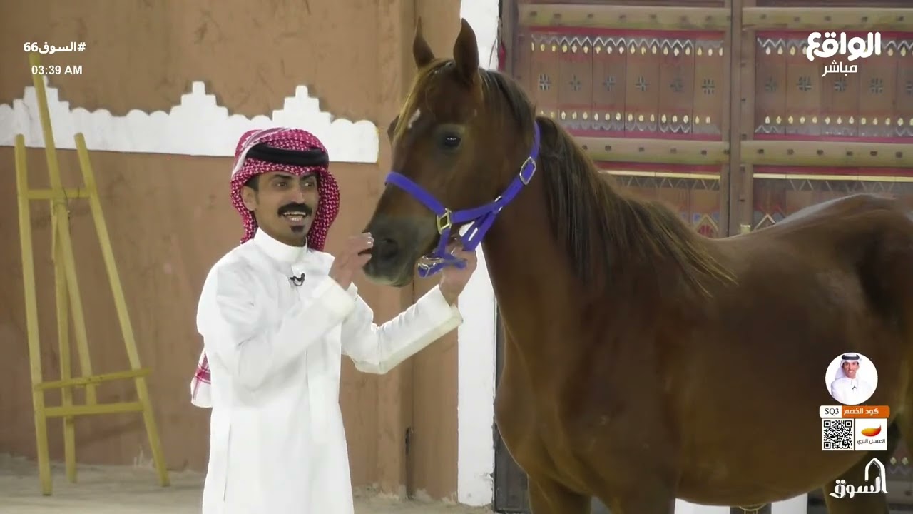 مفاجأة محمد اليامي بحضور 