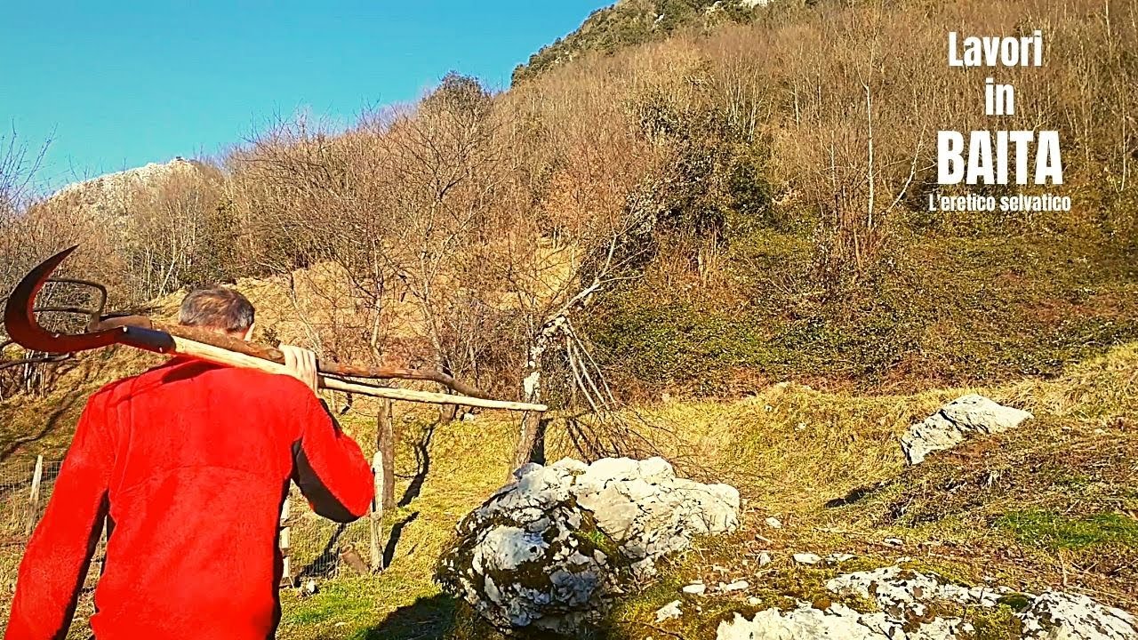 Ho salvato una quercia dai rovi! Vita in montana da solo. ASMR