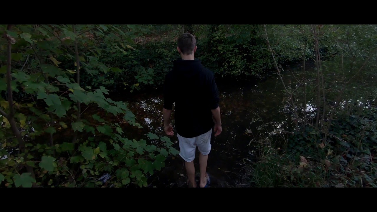 Short cinematic stream in the woods