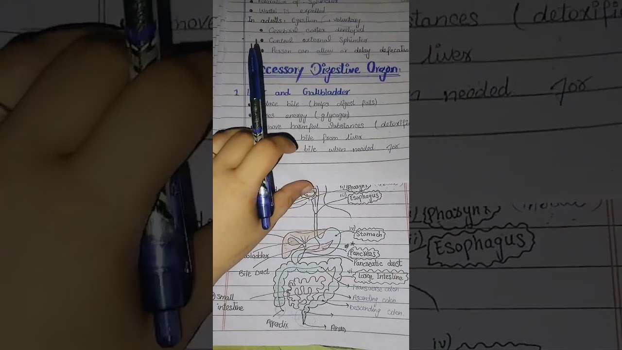 Role Of Large Intestine In Human Digestion part 4 (with important short questions) chp 9 Biology 