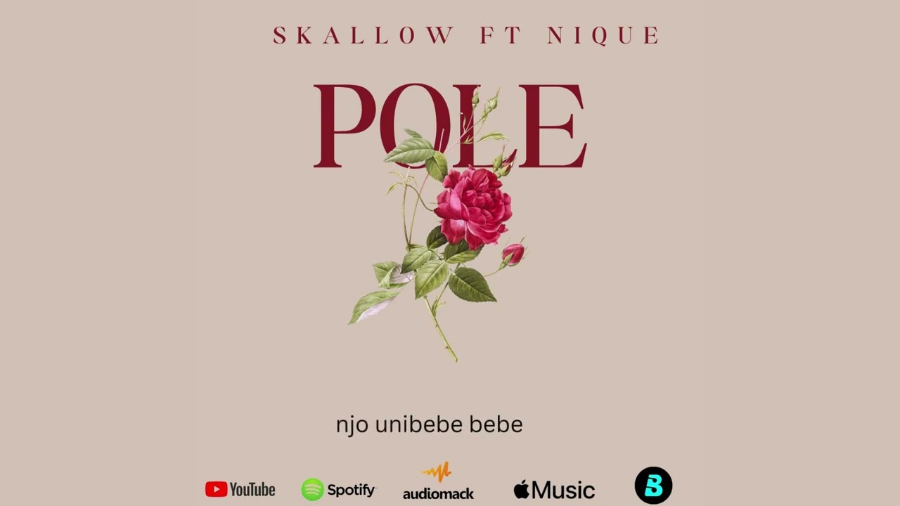 Skallow ft Nique_Pole_(kidege)_(Official Lyrics Video)