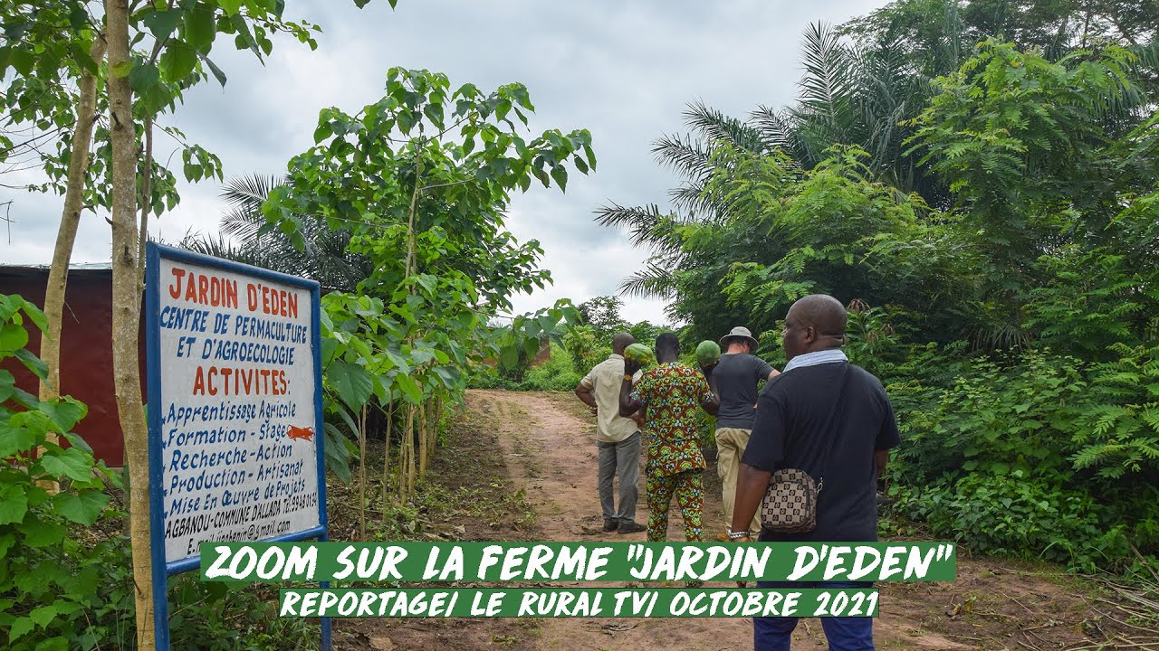 Secaar I Zoom sur la ferme agroécologique Jardin d'Eden de l'ONG SEL (Le Rural TV)