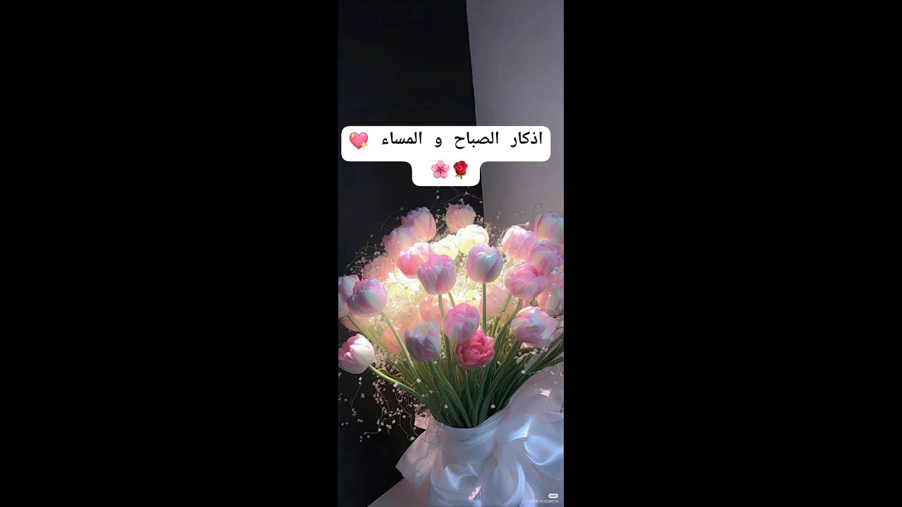 الحل دائما في الاذكار.متى يبدا وقت الاذكار✨ سر توصيه النبي صلى الله عليه وسلم لاذكار الصباح و المساء