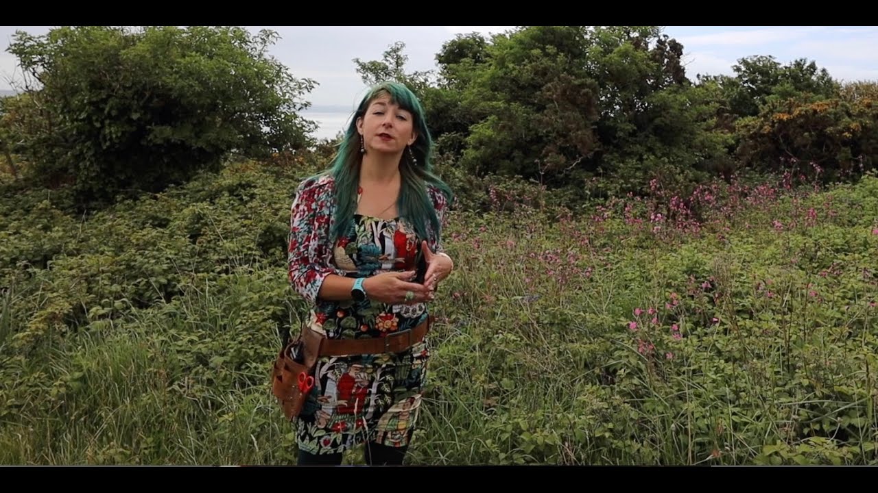 Virtual Foraging - Wild Food Cooking At Maker Heights [Series 2, Episode 6]