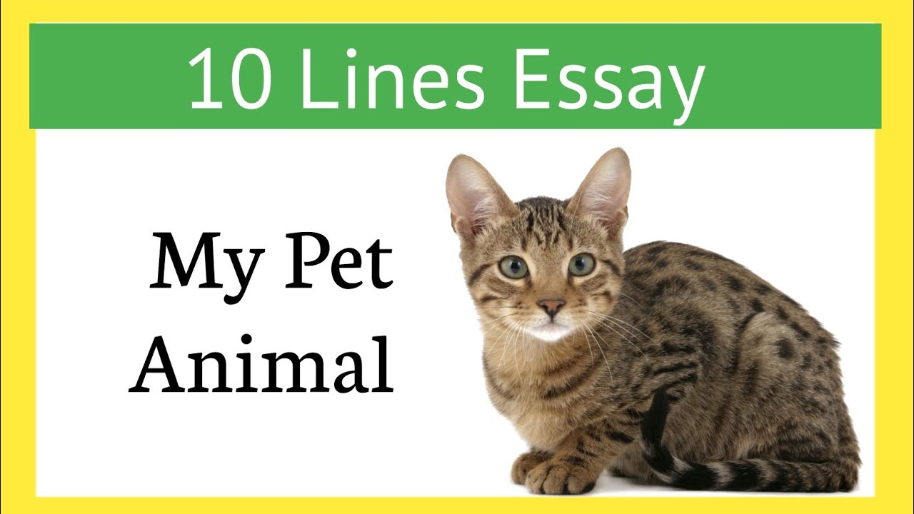 10 lines essay on my pet cat in english/10 lines on cat in english essay/10 lines on Cat essay