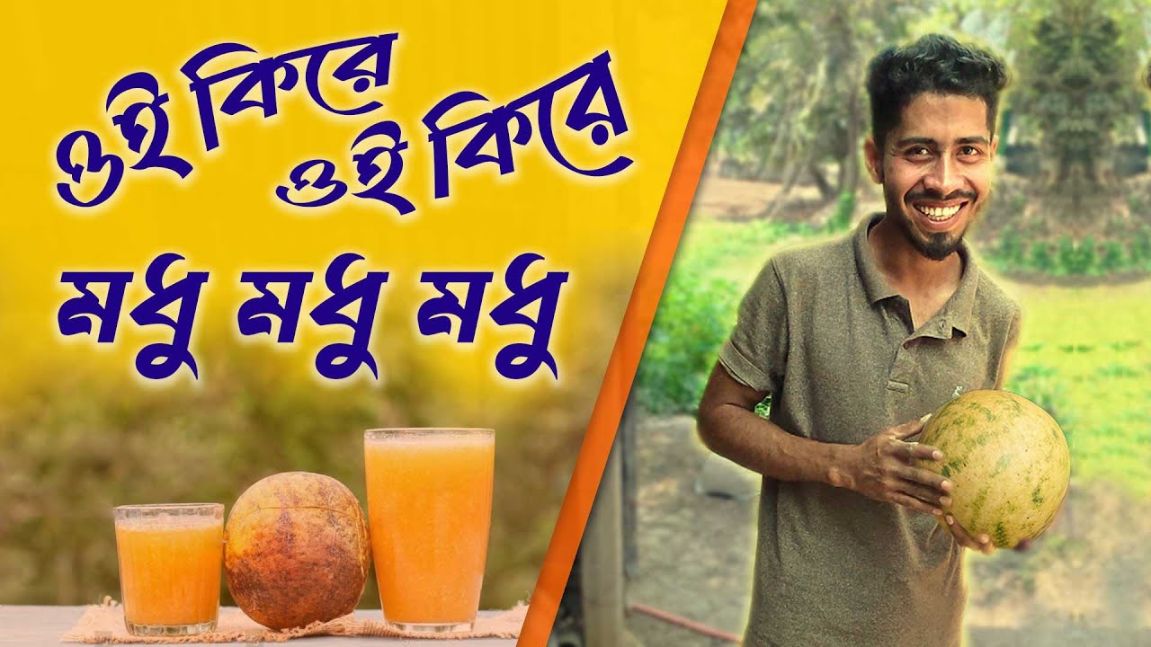 ওই কিরে মধু মধু | Modhu Modhu | গ্রামের বেল পাড়া | Family Vlog | Me with Family | Family Moments