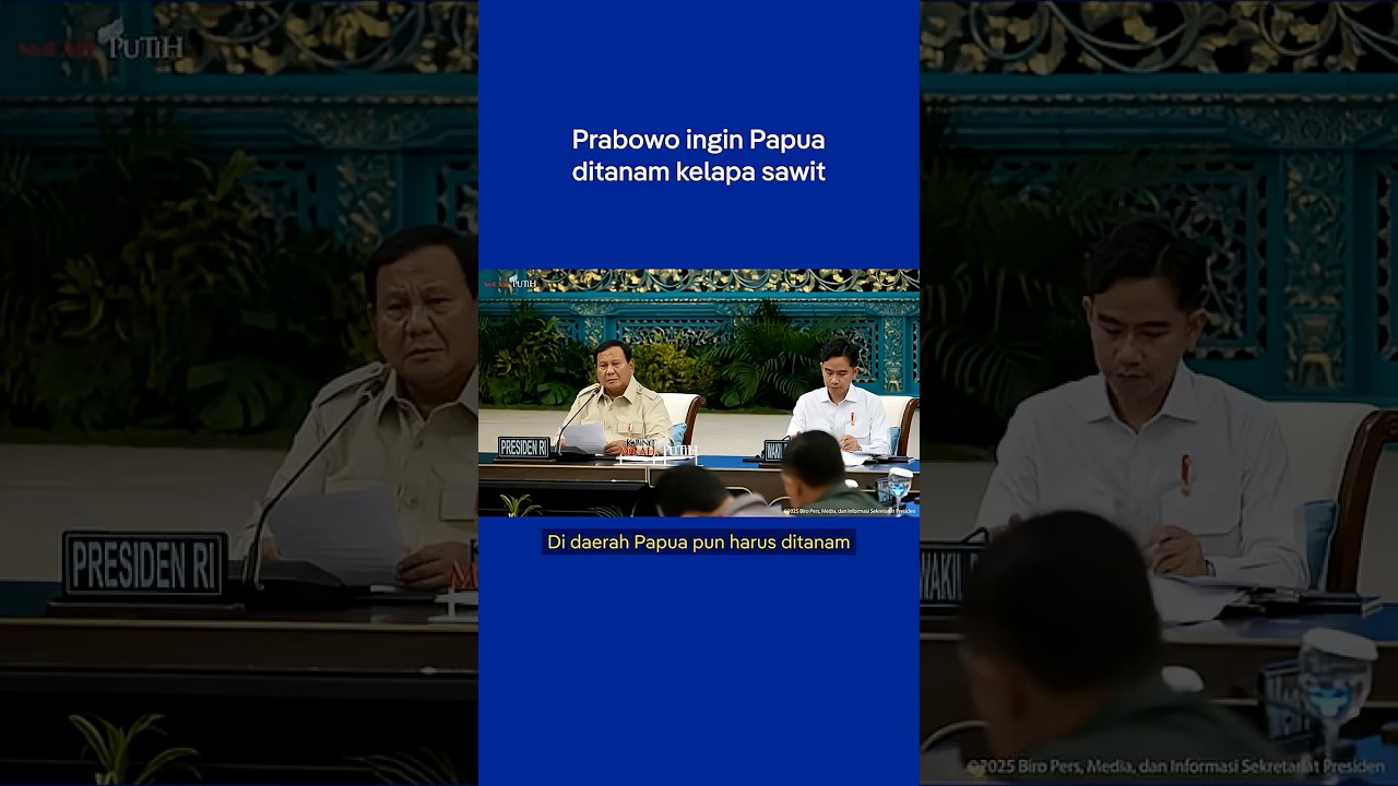 Sawit di Papua jadi solusi energi atau ancaman lingkungan? | #dwaktok