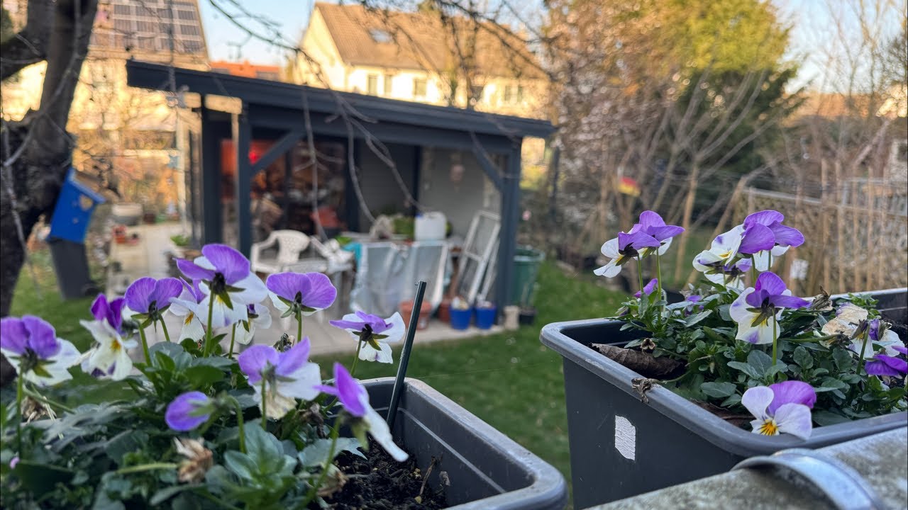 GARDEN TIME BUSY SI KULASA