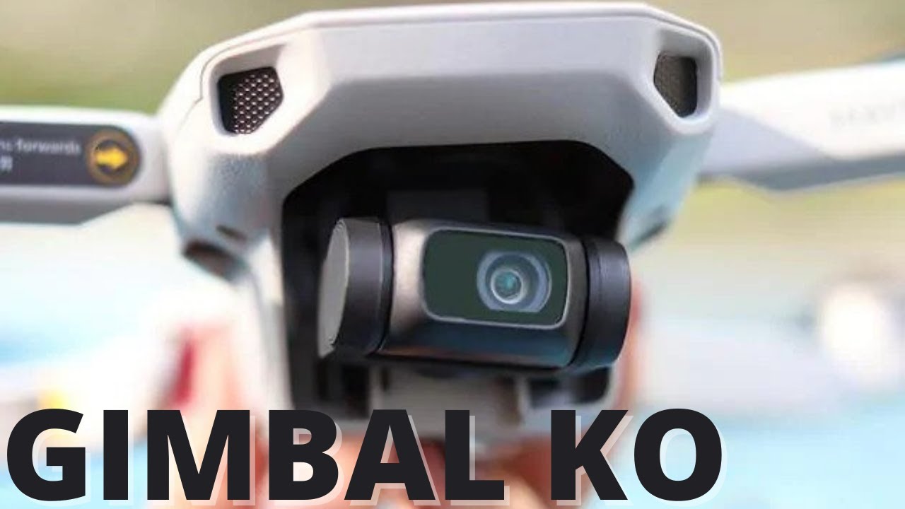 PROBLEMA GIMBAL | DJI MINI 2 & MAVIC MINI