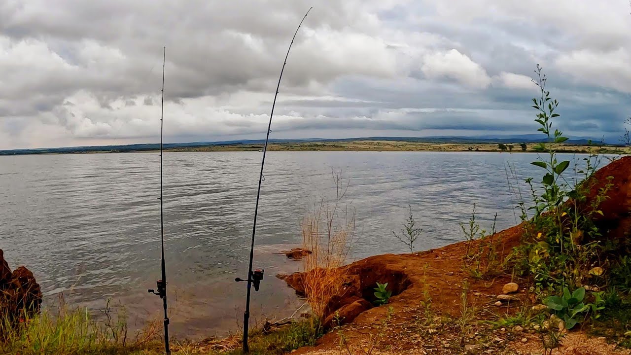 ¡La Tormenta Se Venía y Esto Fue lo Que Pasó!  Pesca en Dique Los Molinos #fishing #carpfishing 