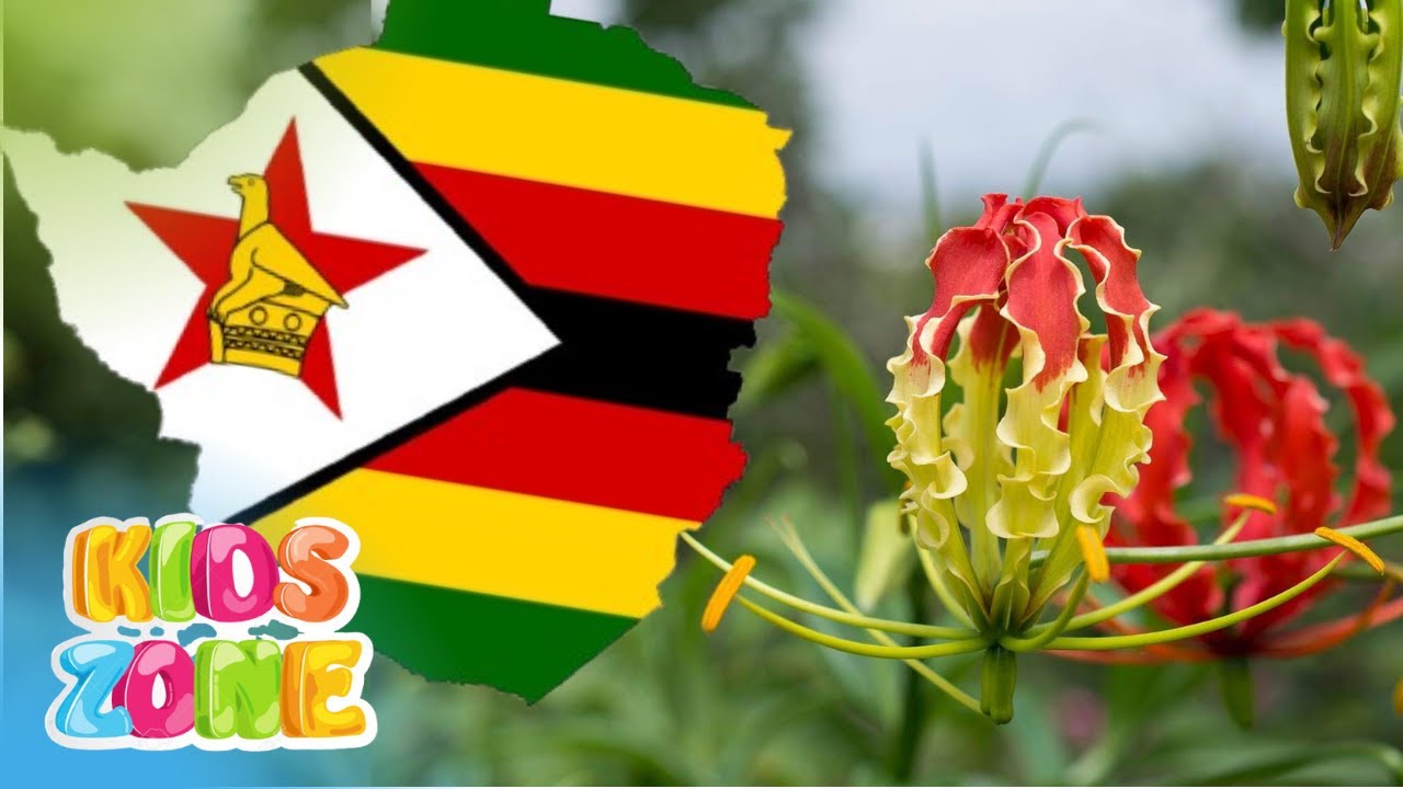 National Flowers of the world for kids | Flags & countries names with national Flowers