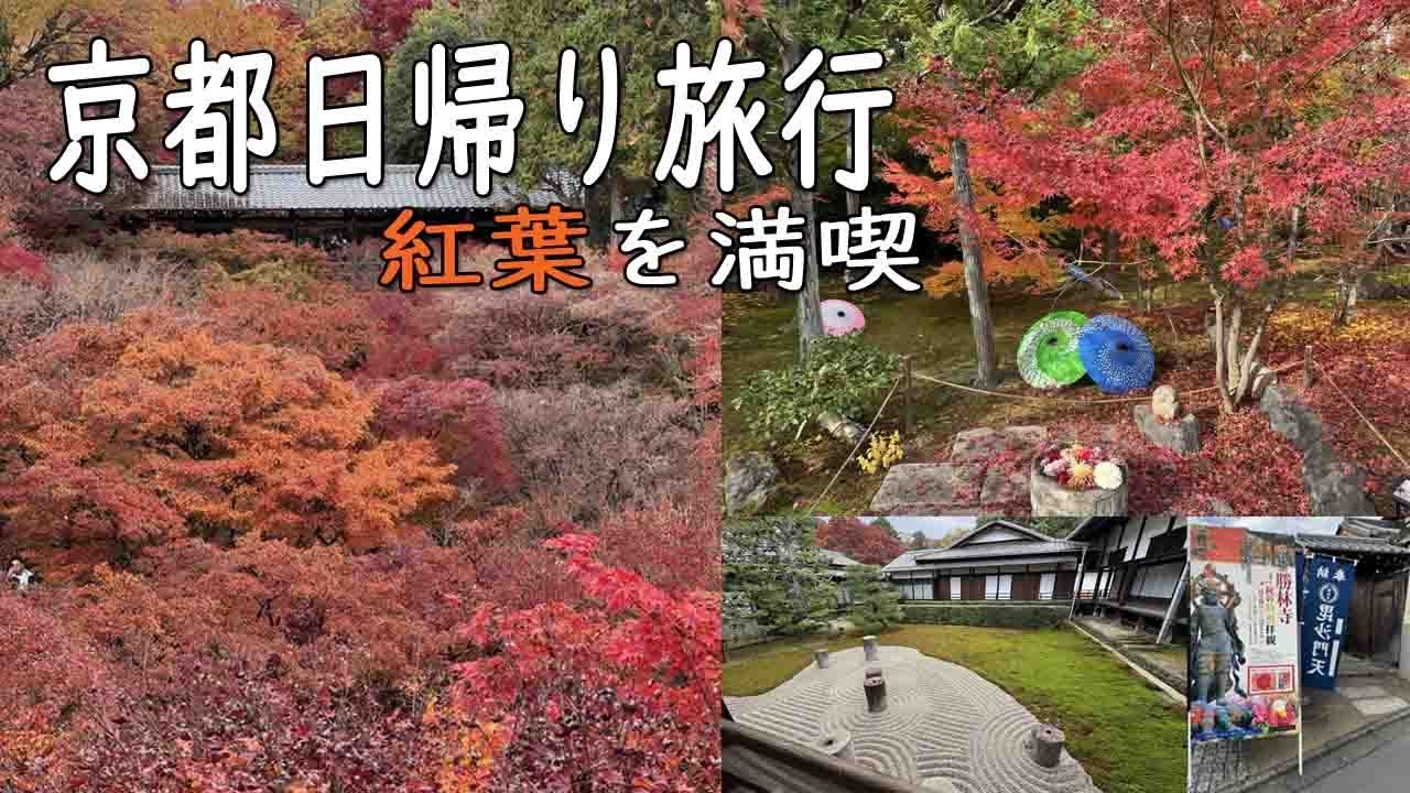 京都日帰り旅行 紅葉を満喫！ ~ 東福寺と勝林寺 ~