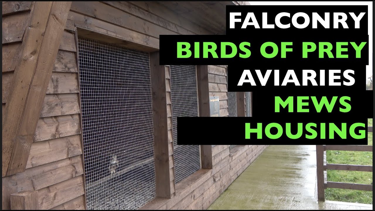 BIRDS OF PREY, FALCONRY AVIARIES, MEWS AND HOUSING. For hawks falcons owls and eagles