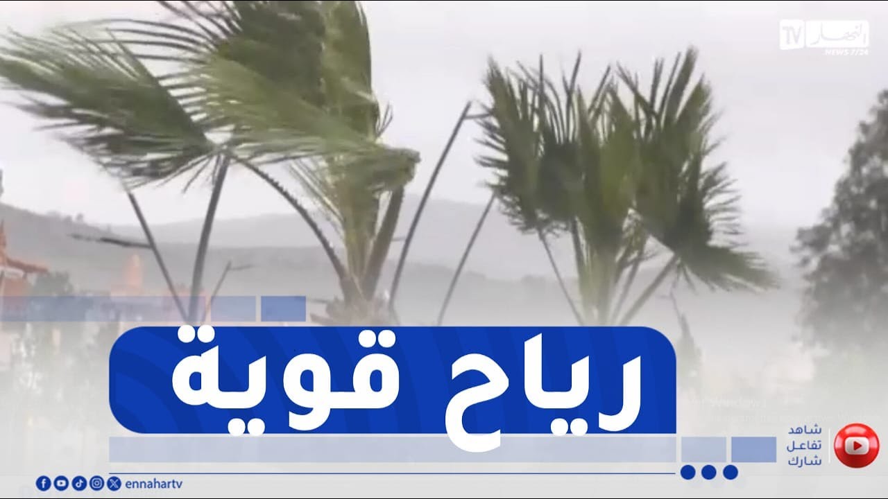 شاهد .. هبوب رياح قوية بسعيدة
