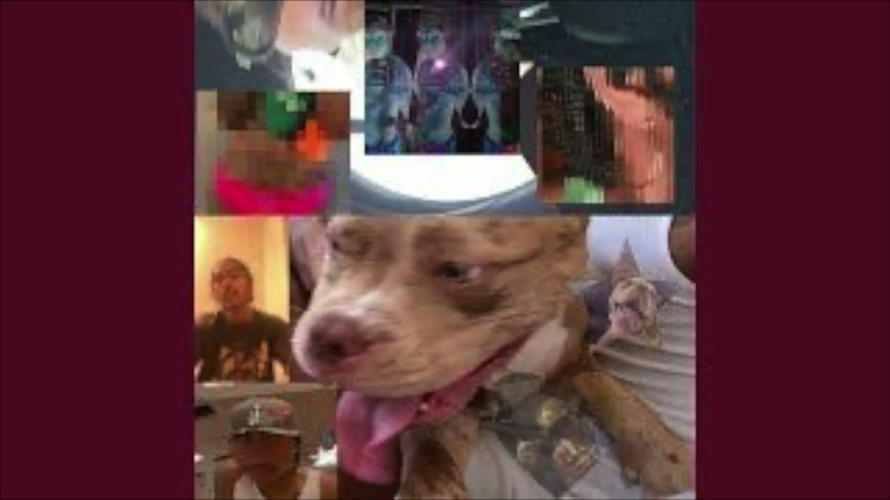 Steve Lacy  Daze 432hz