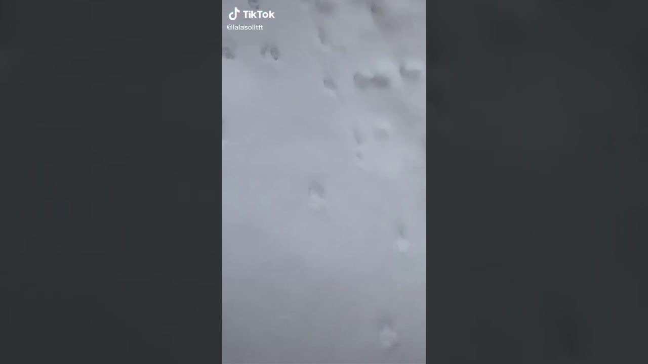 Lala so lit tiktok