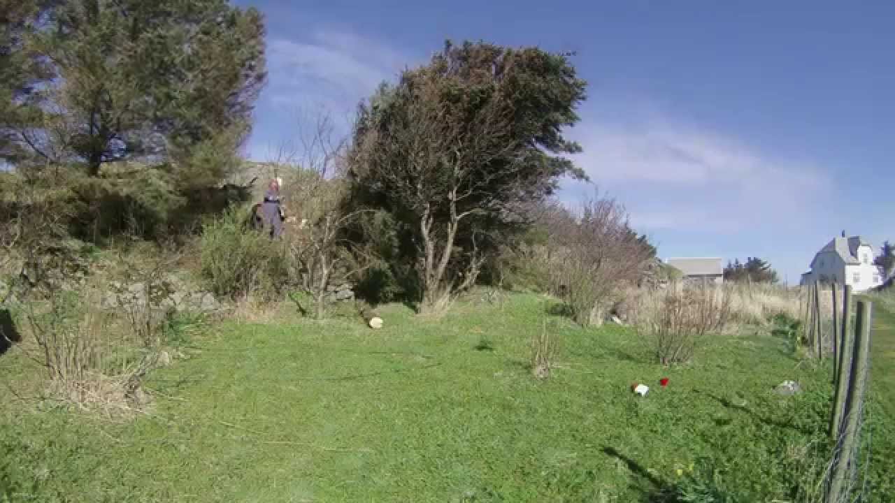 Rotvelt p&aring; Hernar - mai 2014