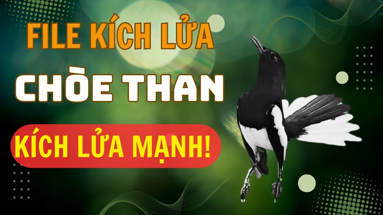 File Kích Lửa Chòe Than Chuẩn | Kích Sung An Toàn, Không Hỏng Chim