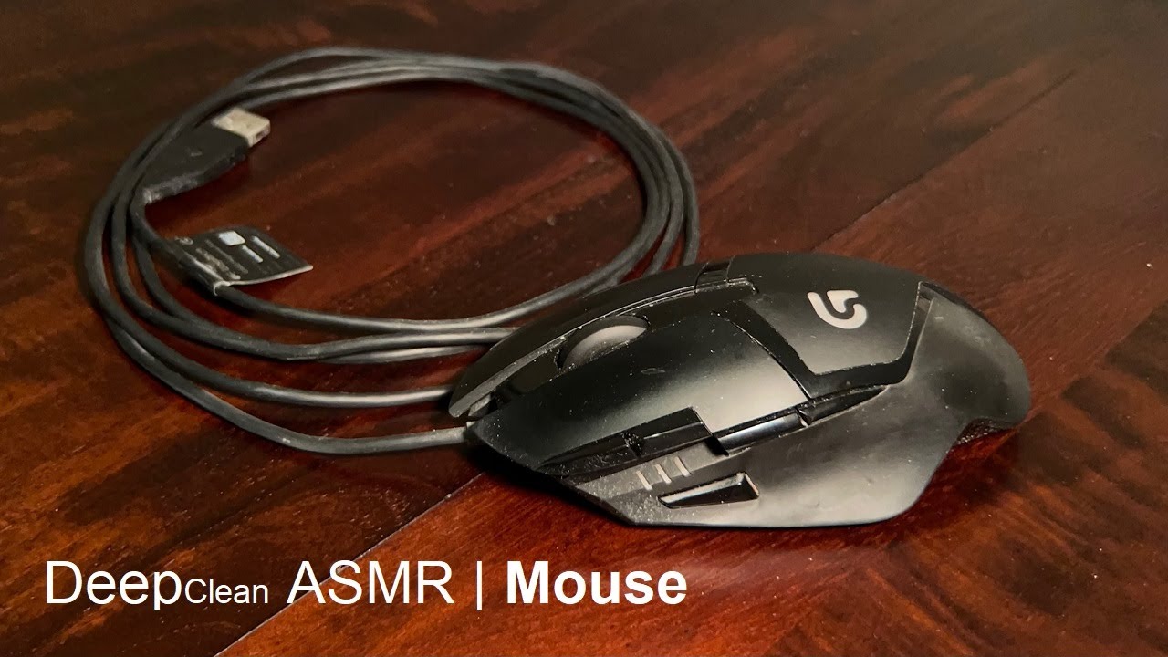 Deep Cleaning ASMR | Mouse