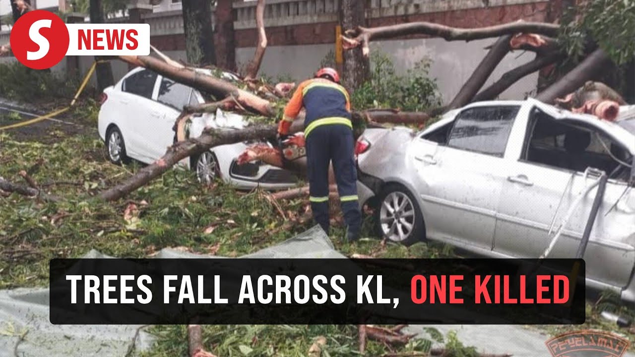 Man killed, woman injured as trees fall across KL