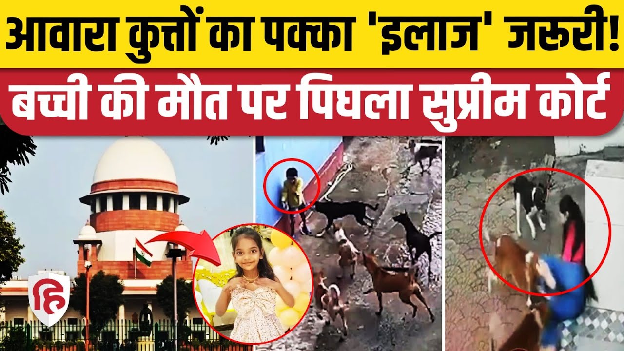 Dog Bites Cases: Delhi में आवारा कुत्तों के काटने से बच्ची की मौत का Supreme Court ने लिया संज्ञान