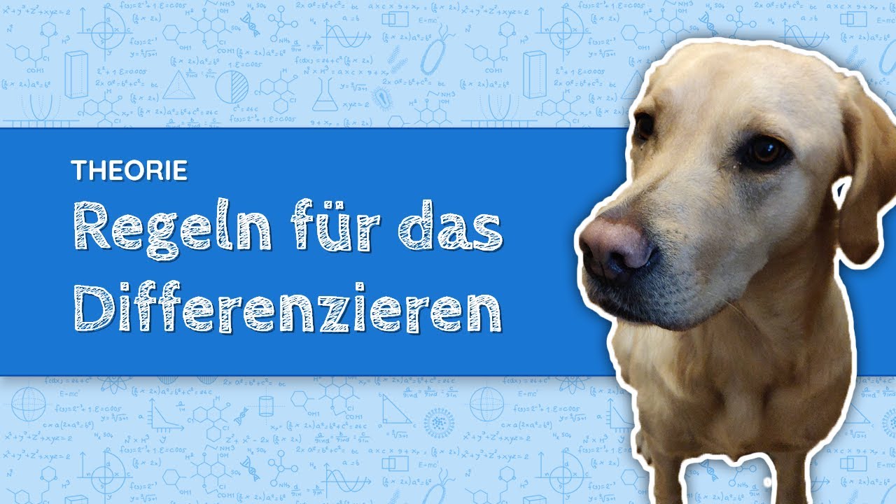 Regeln f&uuml;r das Differenzieren
