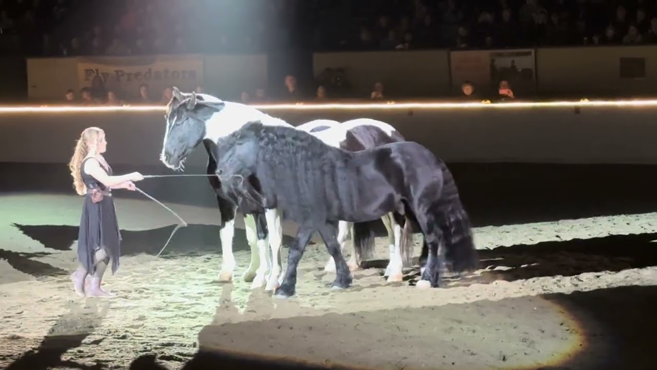 Fantasia Equine Affaire Massachusetts 2024